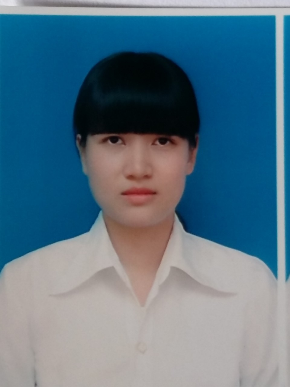 Đào Thị Hồng  Phượng