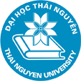 Mai Việt  Anh